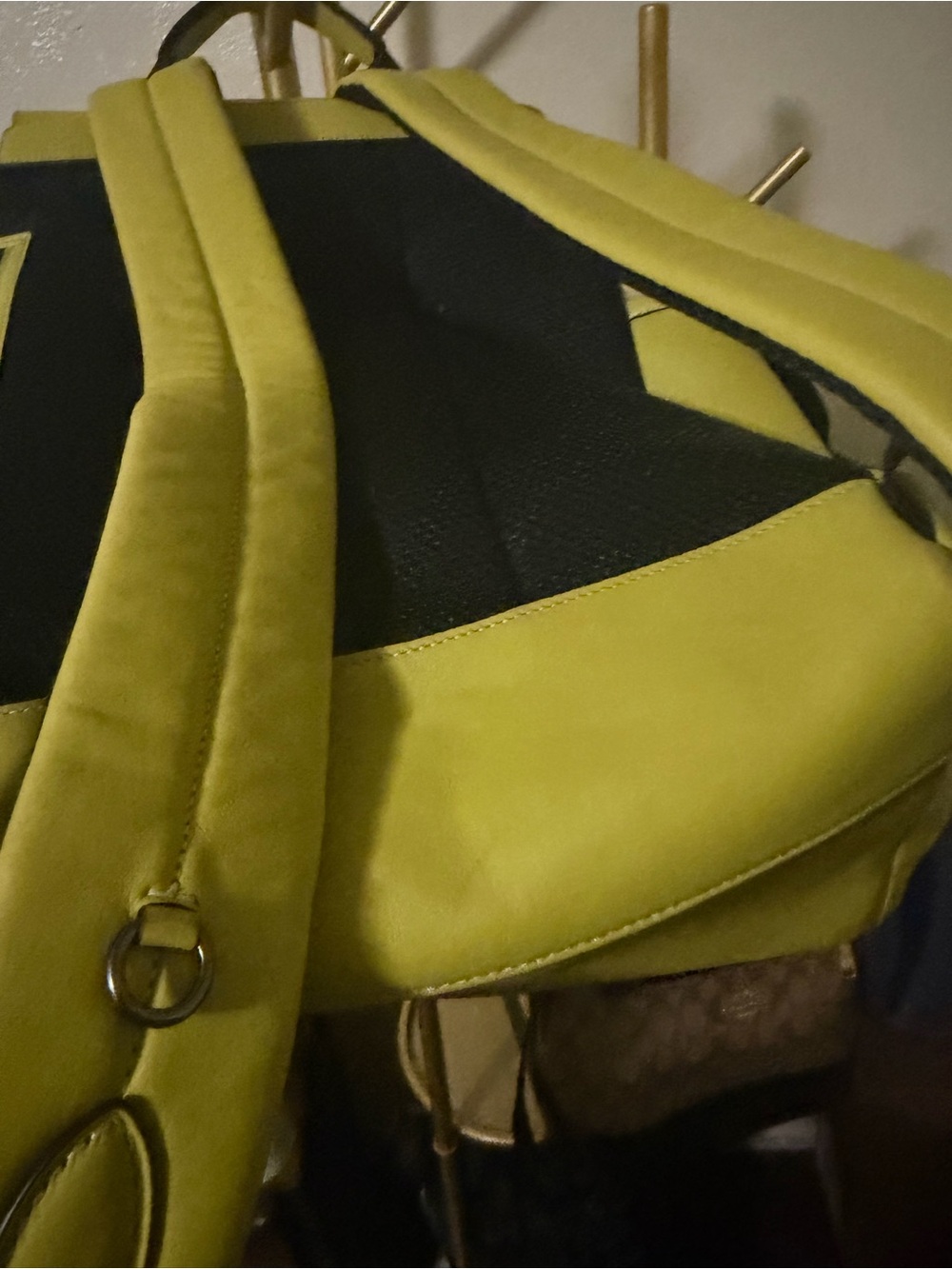Coach Yellow-Green Signature Canvas Backpack - Picture 5 of 7